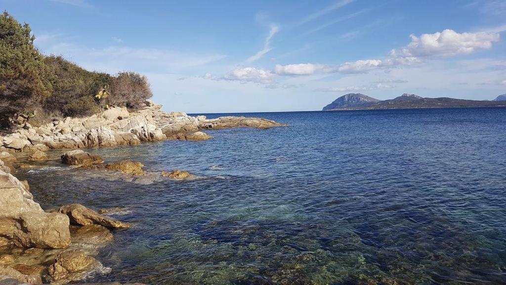 Appartamento A Porto Rotondo - Villaggio Punta Volpe - Iun S5393 外观 照片