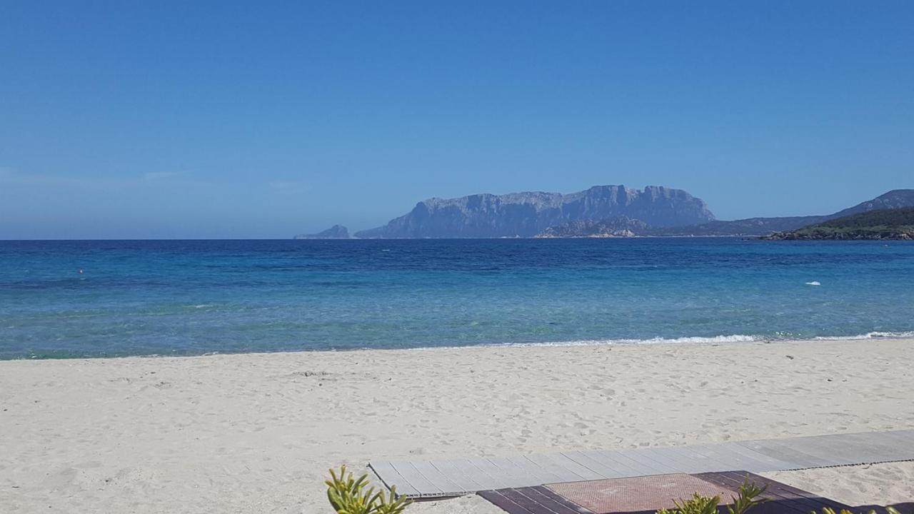 Appartamento A Porto Rotondo - Villaggio Punta Volpe - Iun S5393 外观 照片
