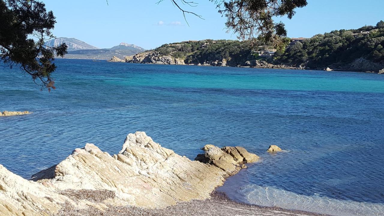 Appartamento A Porto Rotondo - Villaggio Punta Volpe - Iun S5393 外观 照片